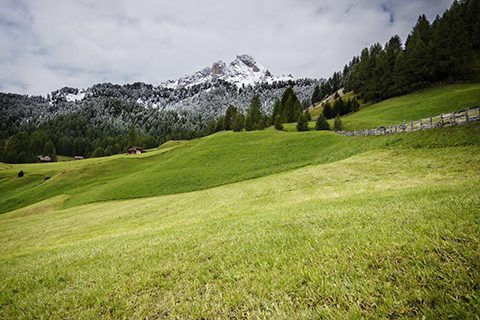 the-royal-senchi-facilities11